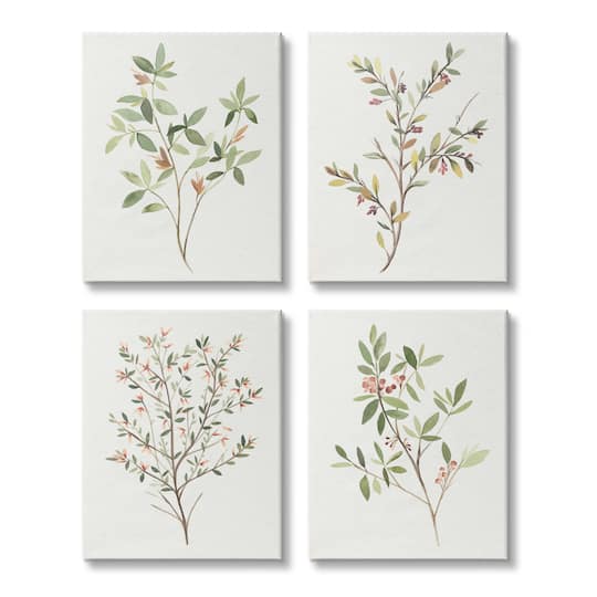 Stupell Industries Soft Farmhouse Botanicals Charming Wild Foliage Plant Illustration Canvas Wall Art, 16" x 20"